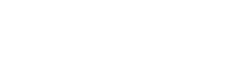 Charles Costa - Depuis 1920